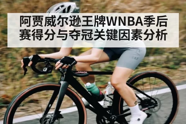 阿贾威尔逊王牌WNBA季后赛得分与夺冠关键因素分析